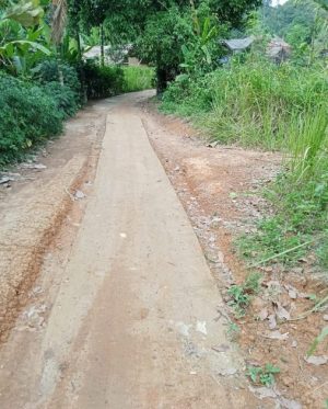Proyek Rabat Beton Sumber Dana Desa Kuripan 2024 Memicu Kecurigaan ‘ada Indikasi Kurang Volume