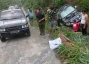 Tak Kuat Nanjak, Mobdin Perikanan OKU Selatan Mundur Terperosok Masuk Kebun Warga