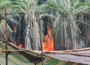 Penegakan Hukum Mandul, Usaha Ilegal di Muba Kian Menjamur