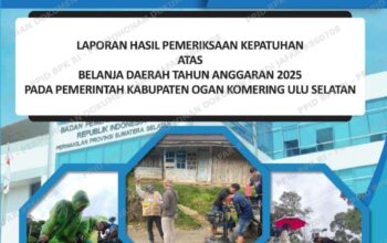 Mata Nusantara Siapkan Aksi Besar, Temuan BPK Bernilai Miliaran di Sejumlah OPD OKU Selatan Dibawa ke Kejati Sumsel