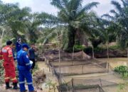Medco E&P Grissik Dukung Budidaya Lele untuk Dorong Kemandirian Ekonomi Masyarakat