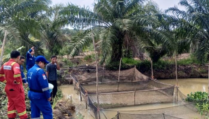 Medco E&P Grissik Dukung Budidaya Lele untuk Dorong Kemandirian Ekonomi Masyarakat