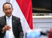 Pangeran Hormuz: Pengawal Kebijakan  dan Stabilitas Energi Nasional